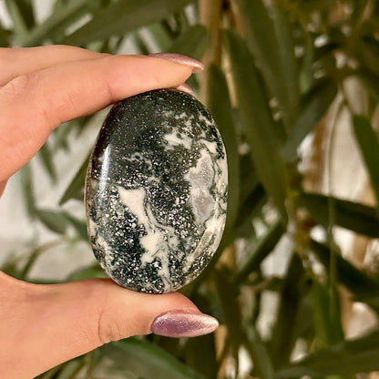 Boomagaat handsteen #319