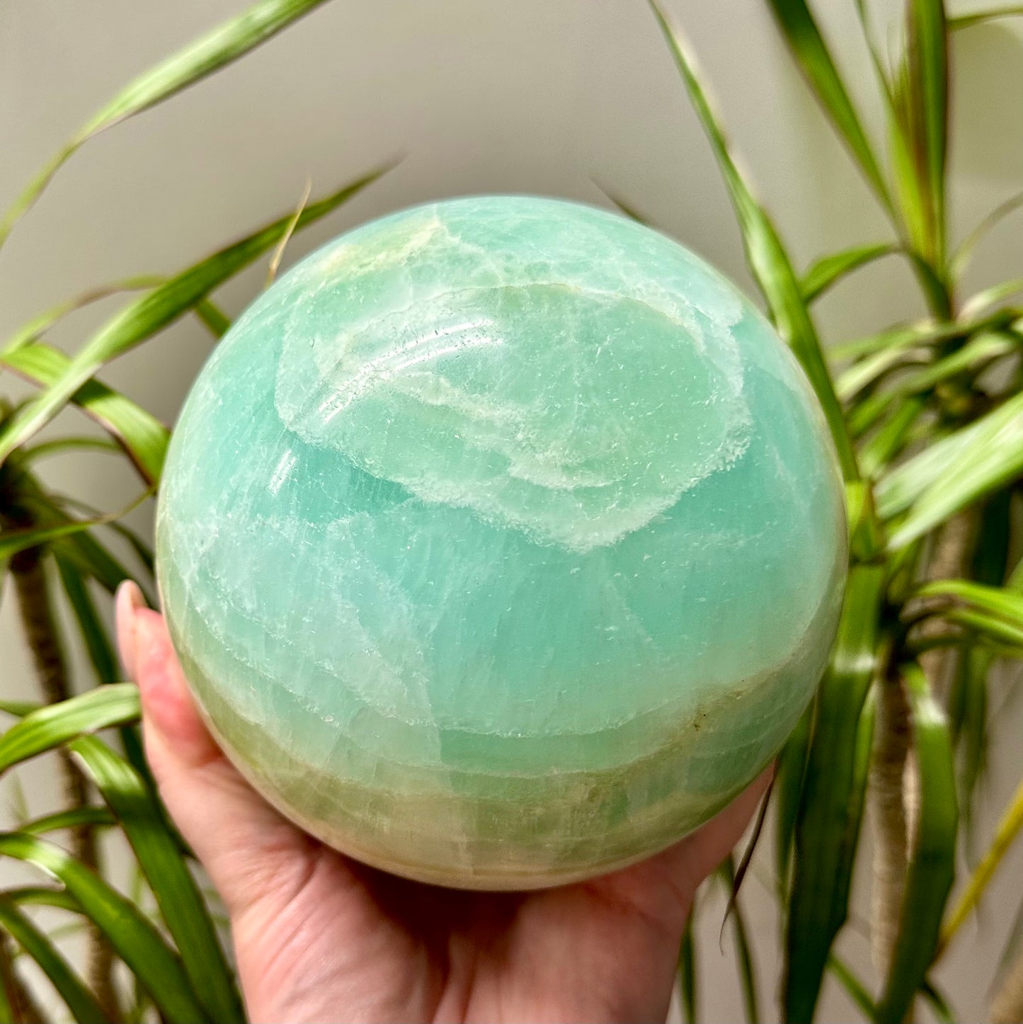 Pistache calciet bol XL