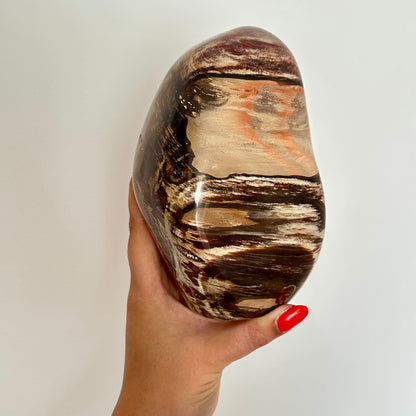 Versteend hout sculptuur 1472