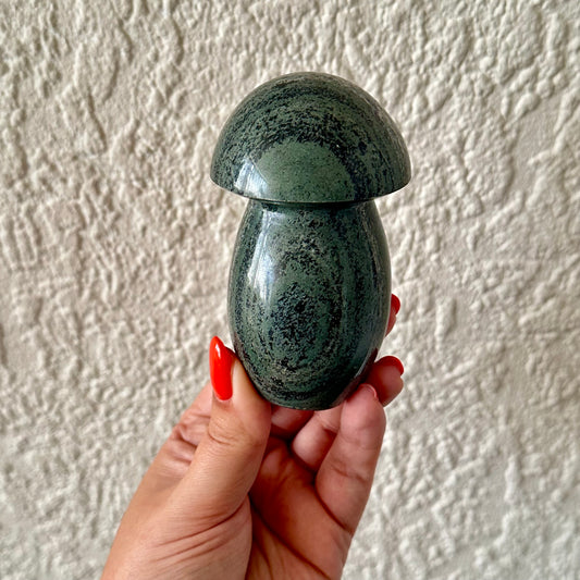 Kambaba jaspis paddestoel 1386