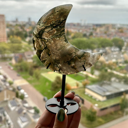 Mosagaat manen op standaard