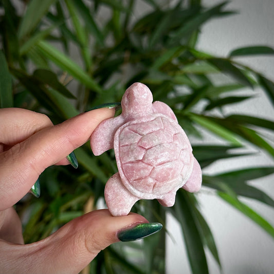 Roze Andes opaal schildpad