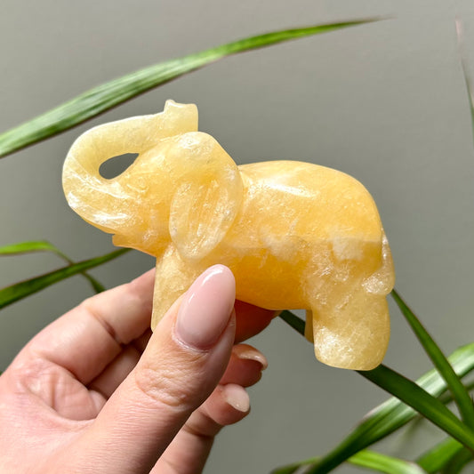 Oranje calciet olifant