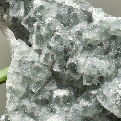 Sugar fluoriet special!