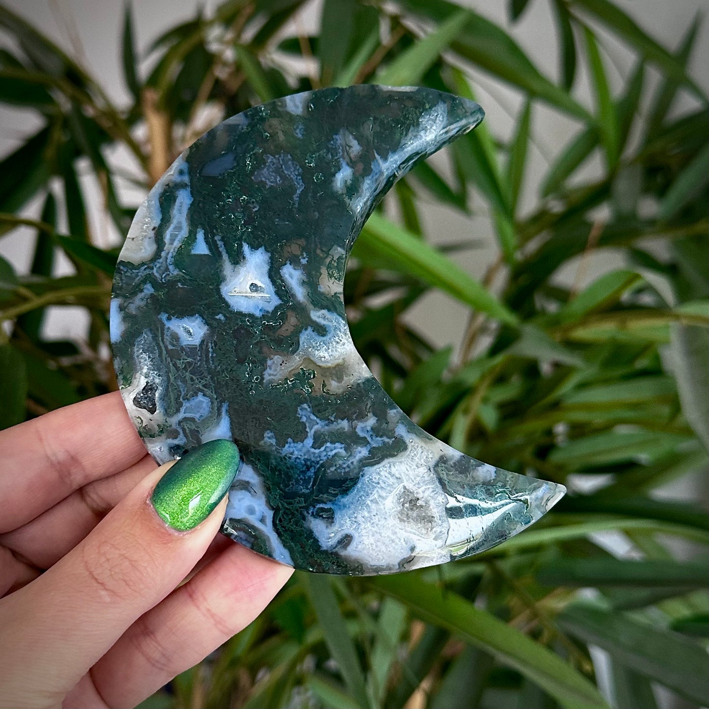 Mosagaat manen op standaard