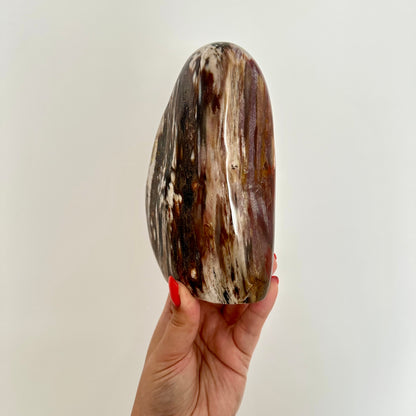 Versteend hout sculptuur 1376