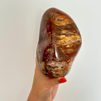 Versteend hout sculptuur 1472