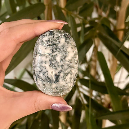 Boomagaat handsteen #317