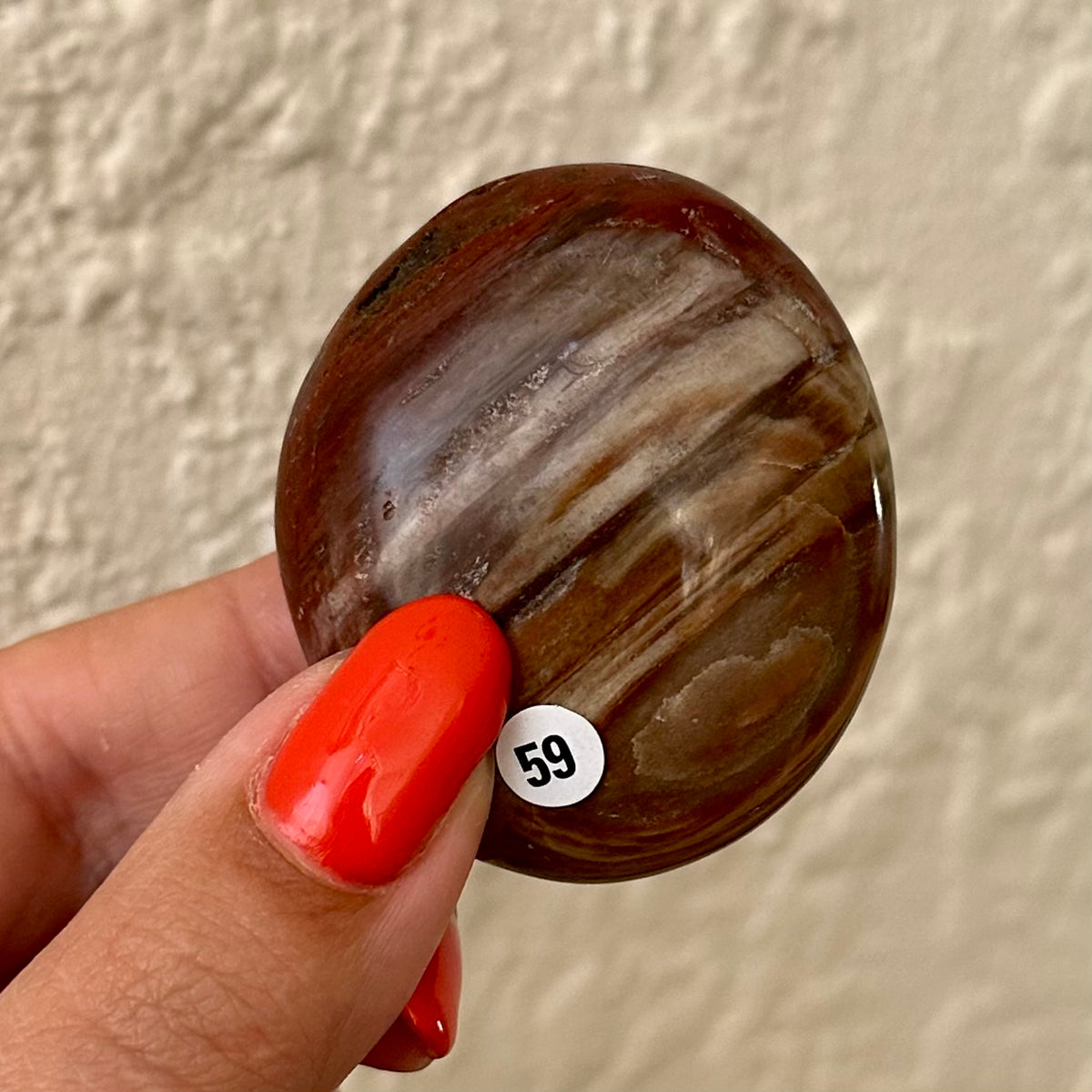 Versteend hout handstenen