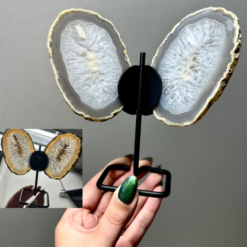 Agaat vlinder op zwart standaard