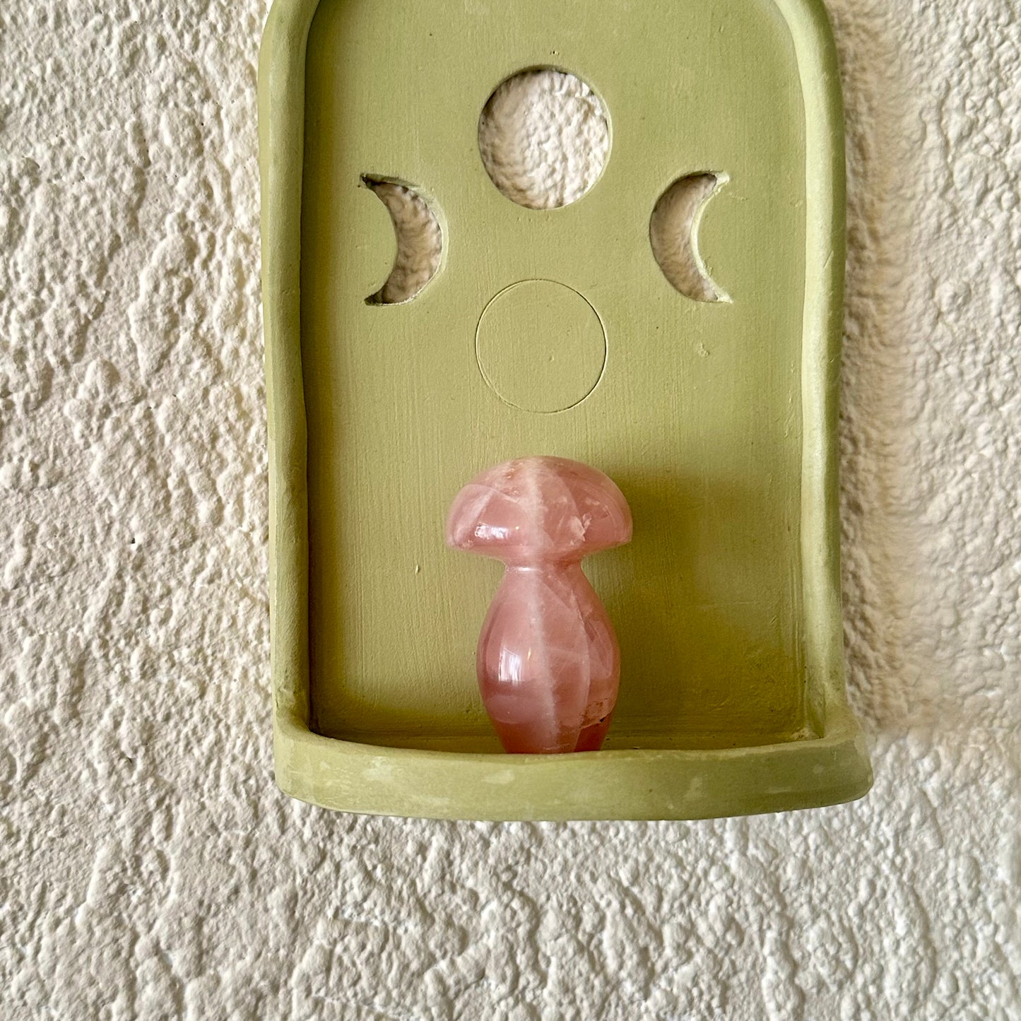 Rozenkwarts paddestoel 1348