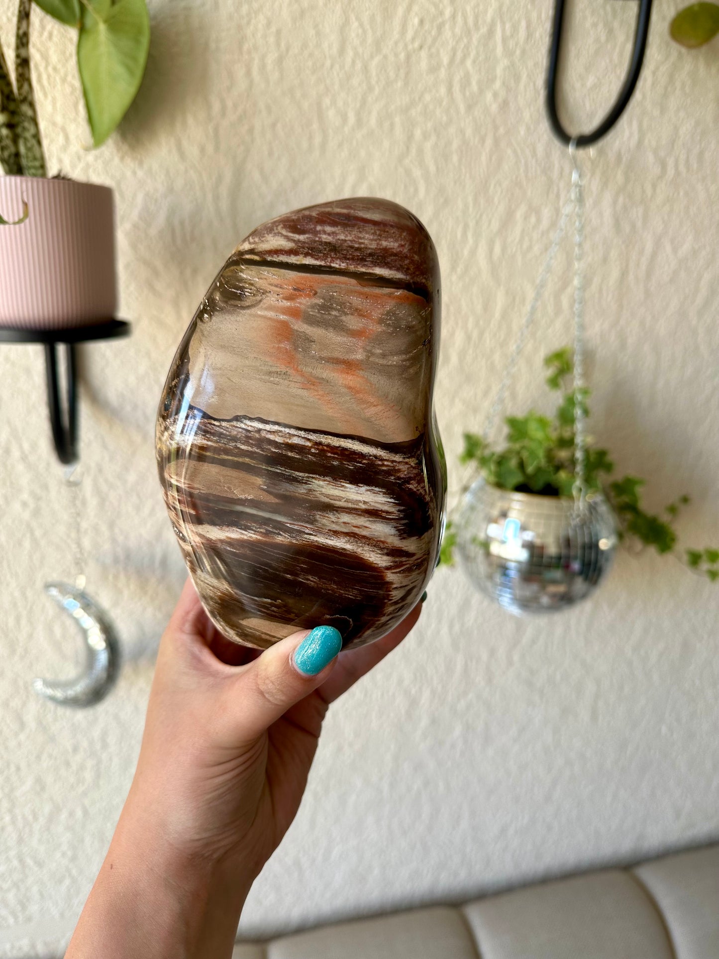 Versteend hout sculptuur 1472