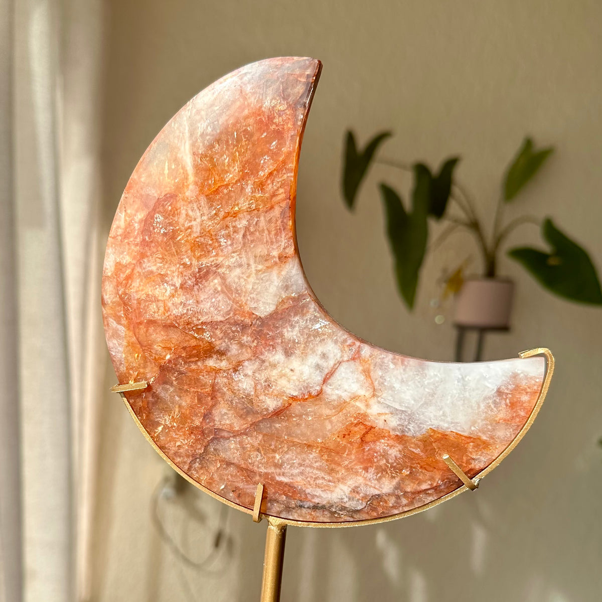 Red healer maan op standaard (14)