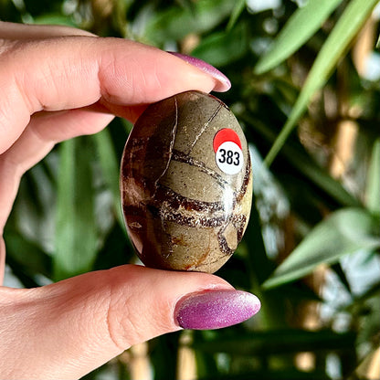 Septarie handsteen #383