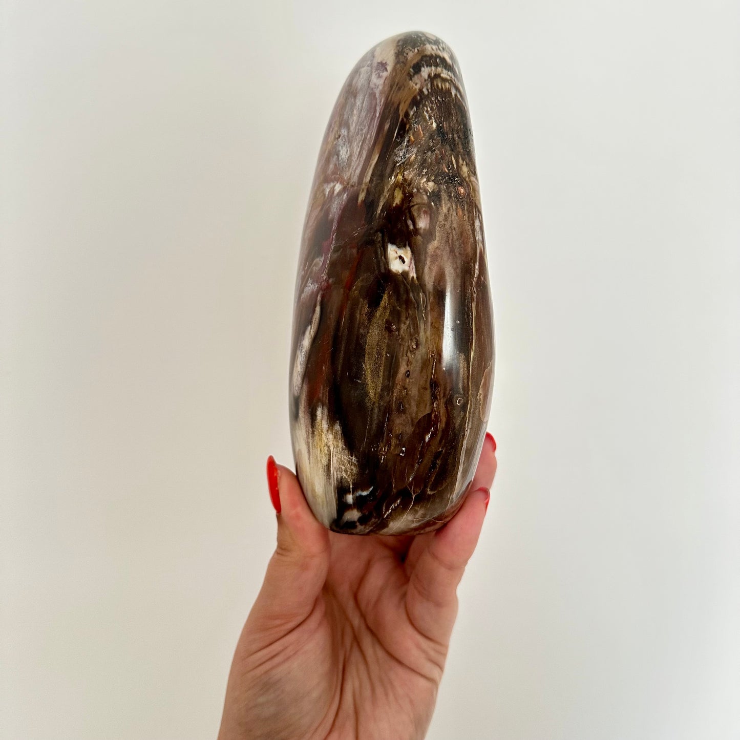 Versteend hout sculptuur 1376