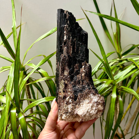 Zwarte toermalijn met mica #147