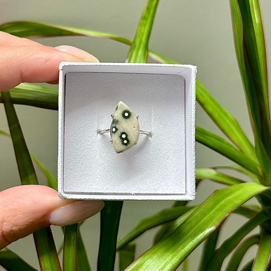 Oceaan jaspis ring 925 zilver