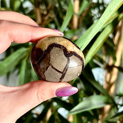 Septarie handsteen #476