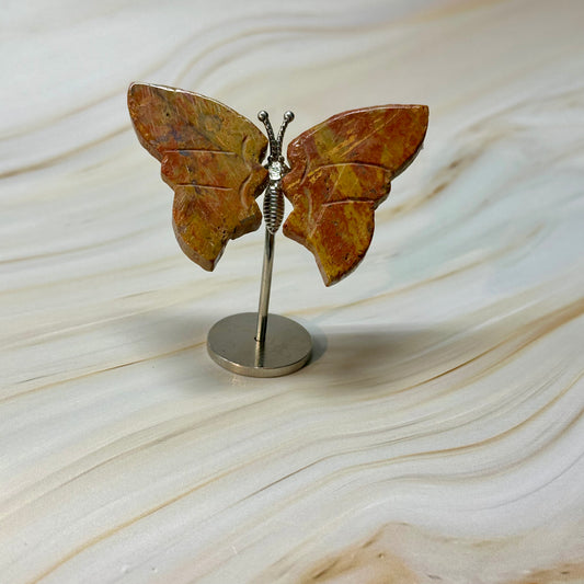 Kleine vlinder kneusje #51