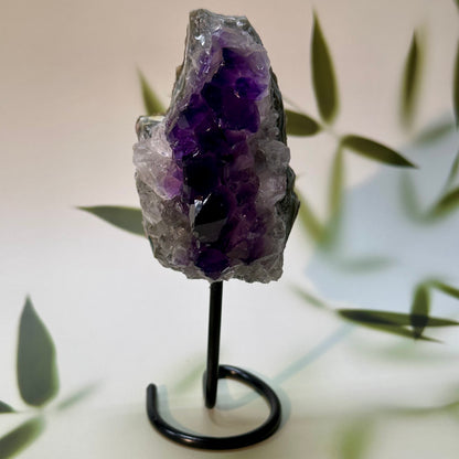 Amethist op pin