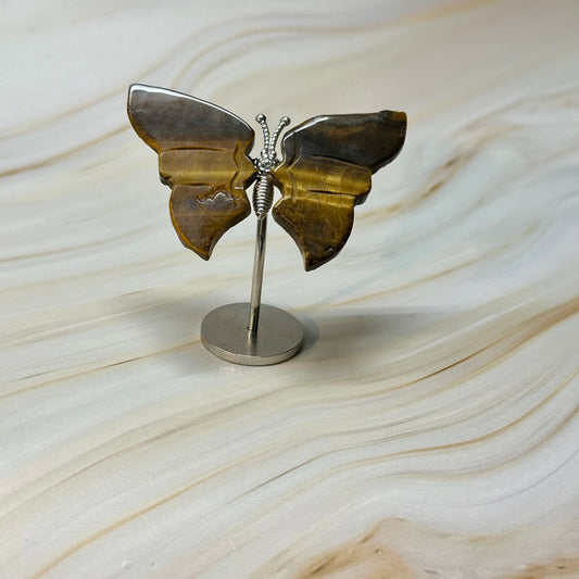 Kleine vlinder kneusje #53