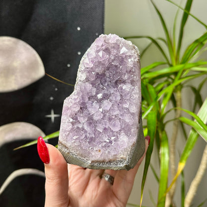 Diverse amethist clusters