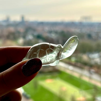 Fluoriet schildpadden