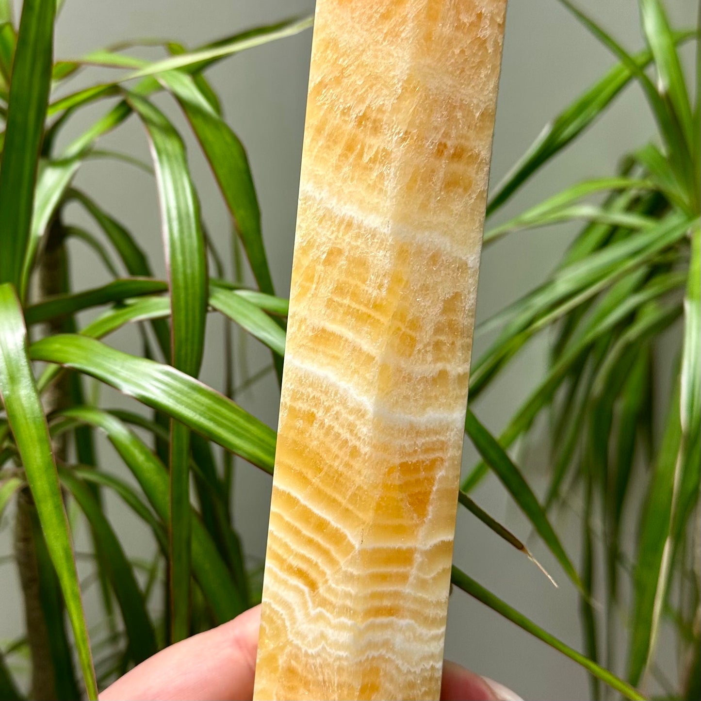 Oranje calciet toren