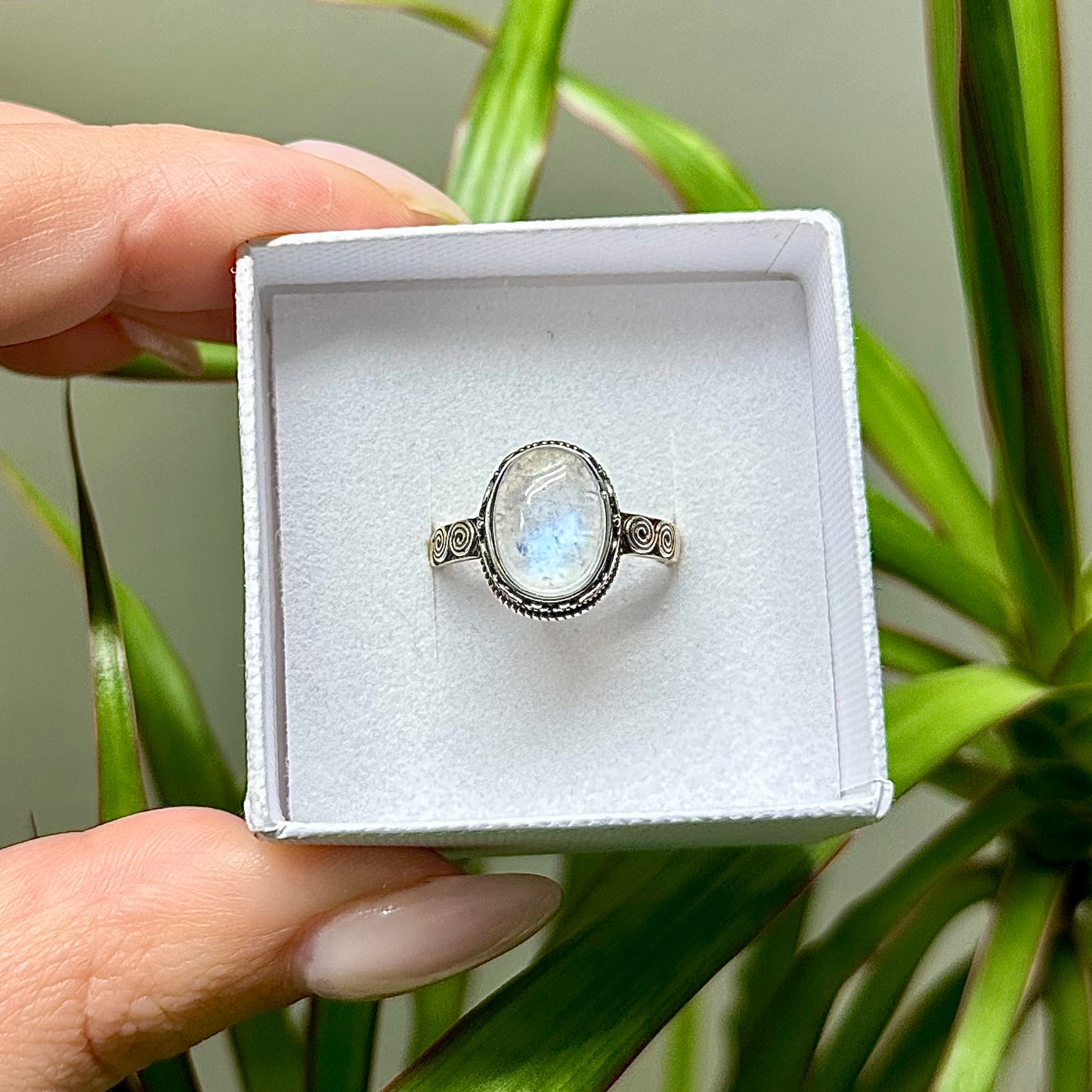 Maansteen ring 925 zilver