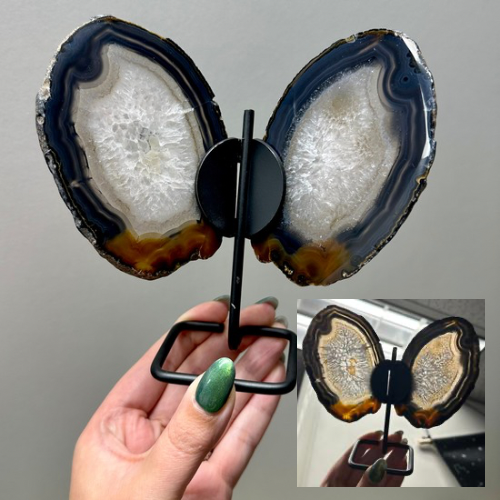 Agaat vlinder op zwart standaard