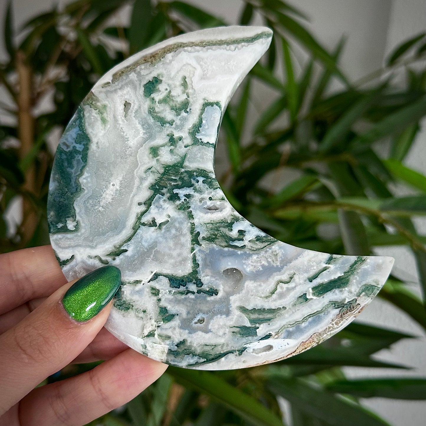 Mosagaat manen op standaard