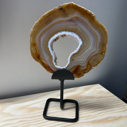 Standaard voor schijven M/L