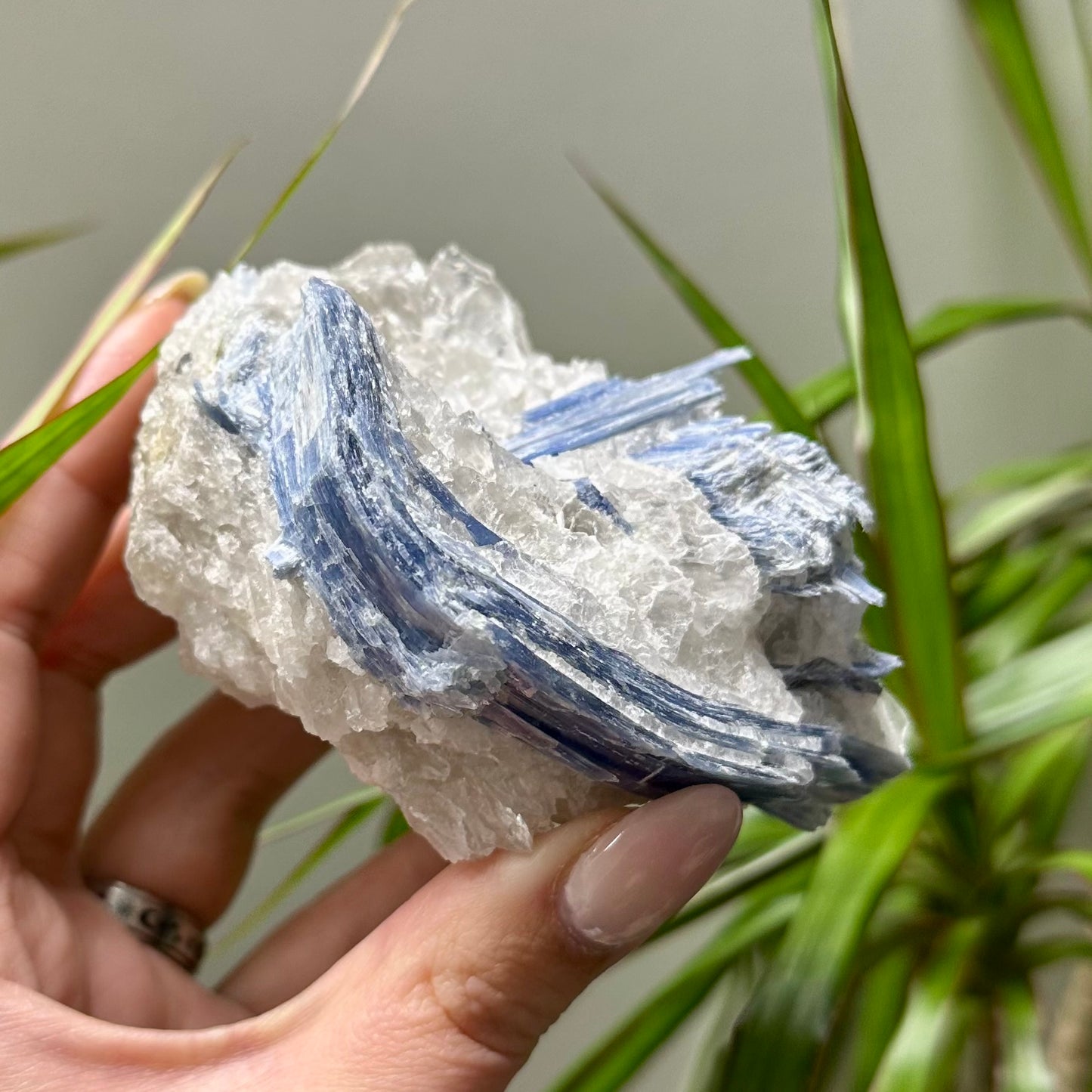 Ruw stuk kyaniet met kwarts