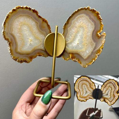 Agaat vlinder op goud standaard