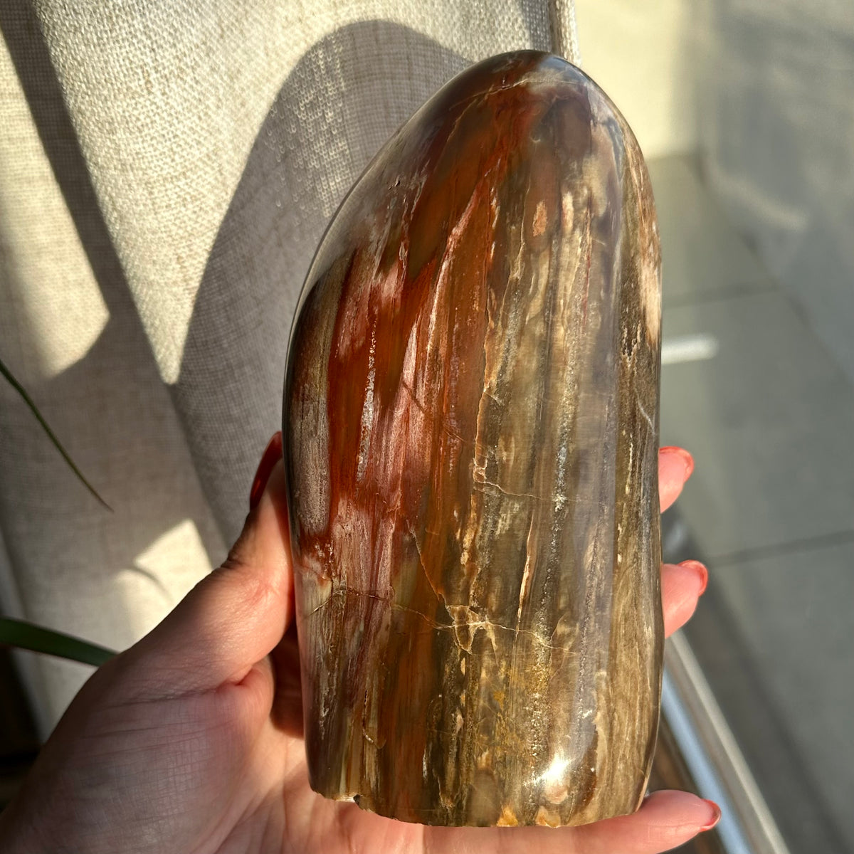 Versteend hout sculptuur 1377