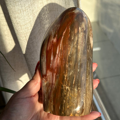Versteend hout sculptuur 1377
