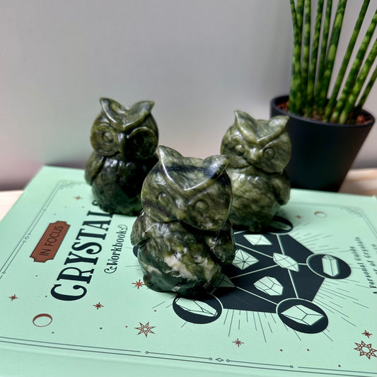 Groene jade uil