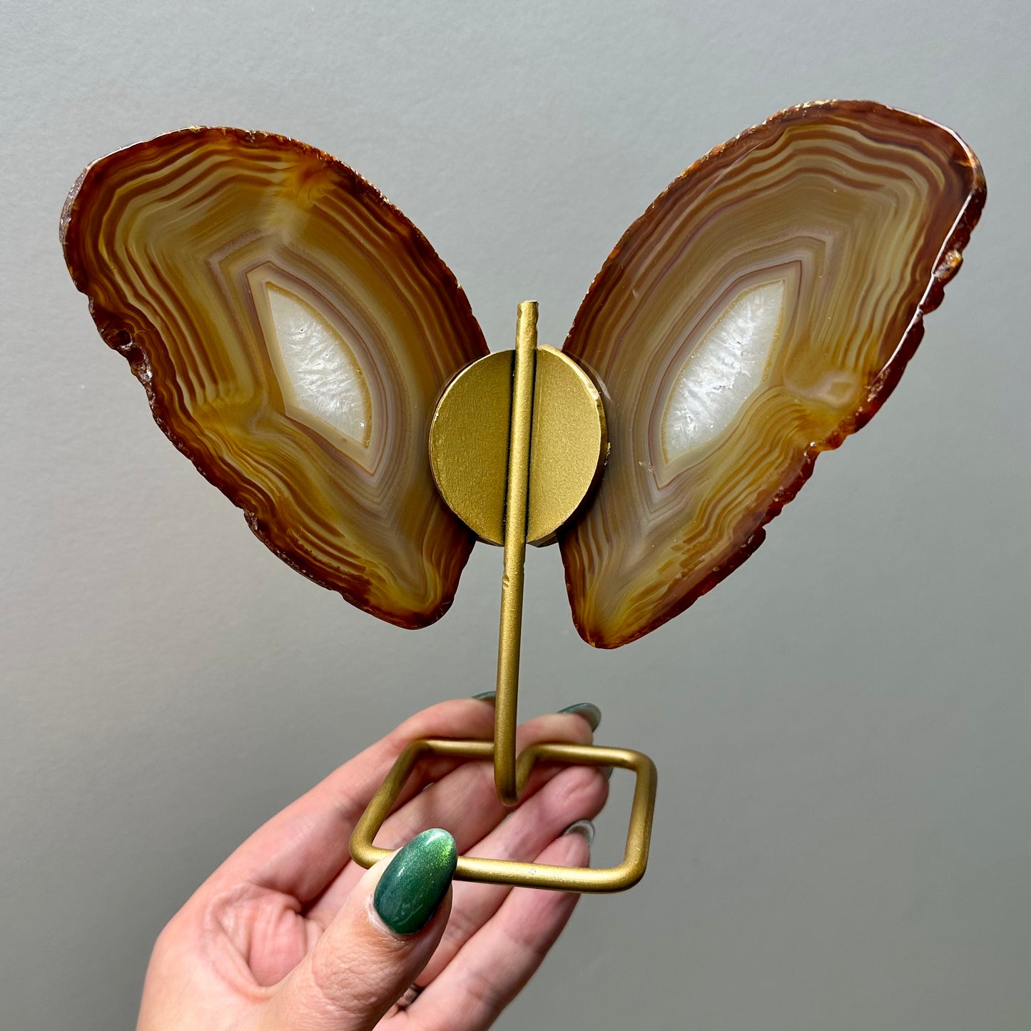 Set vlinders oranje/bruin