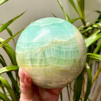 Pistache calciet bol XL