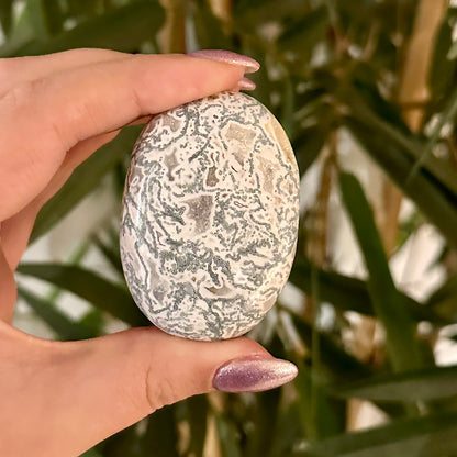 Boomagaat handsteen #323