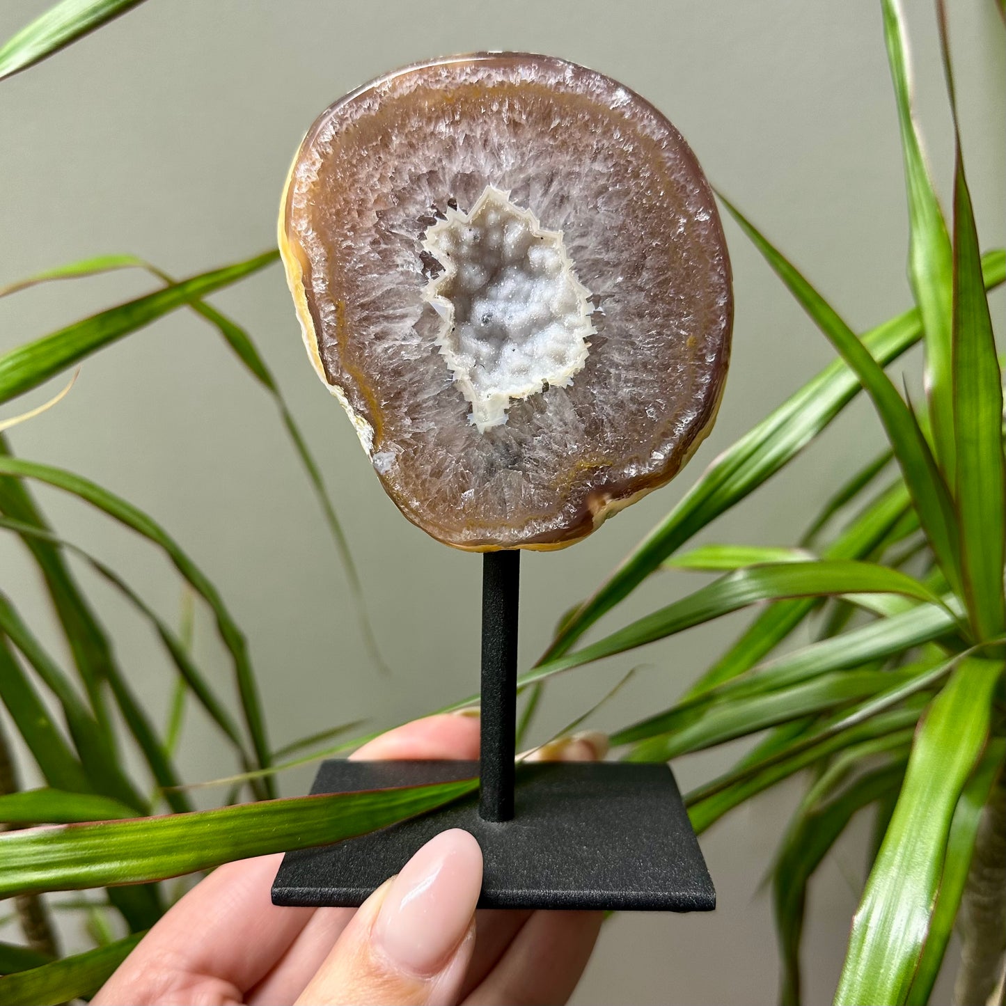 Agaat op standaard S diverse varianten