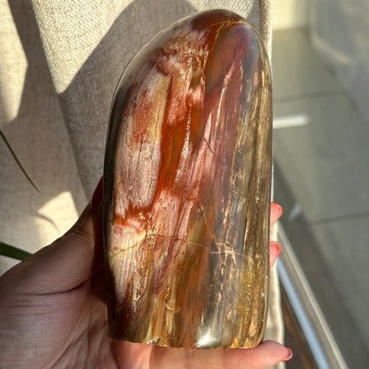 Versteend hout sculptuur 1377