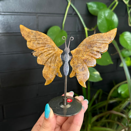 Golden healer vlinders op standaard