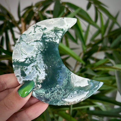 Mosagaat manen op standaard