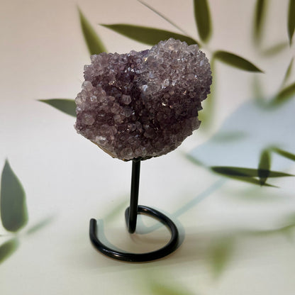 Amethist op pin