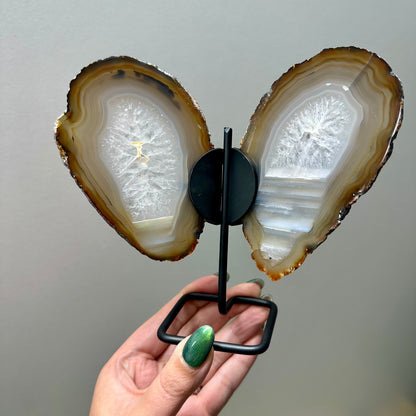 Set vlinders grijs/bruin