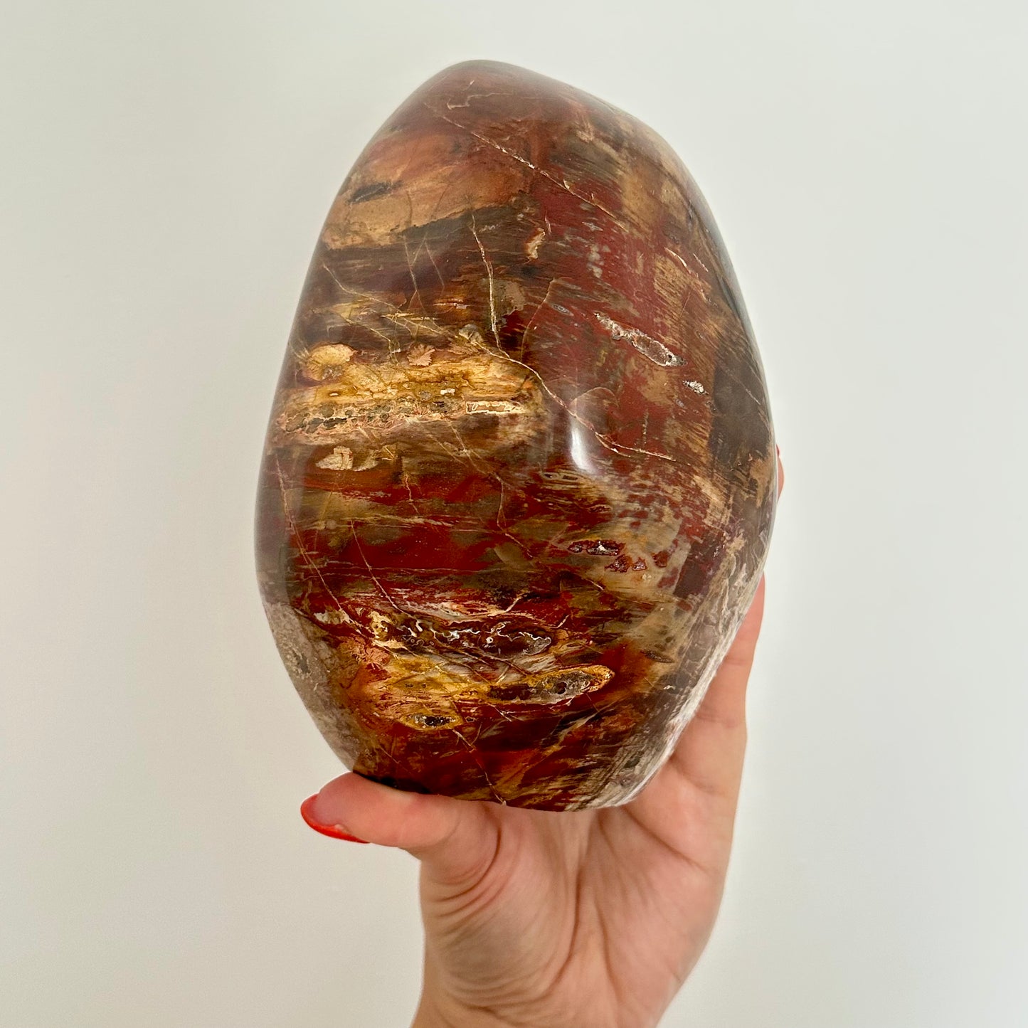 Versteend hout sculptuur 1472