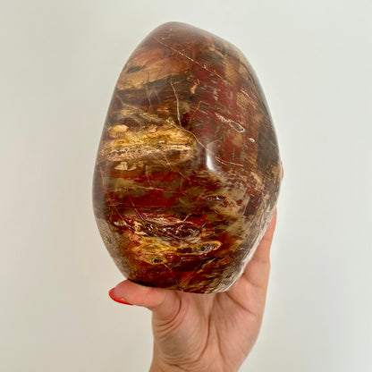 Versteend hout sculptuur 1472