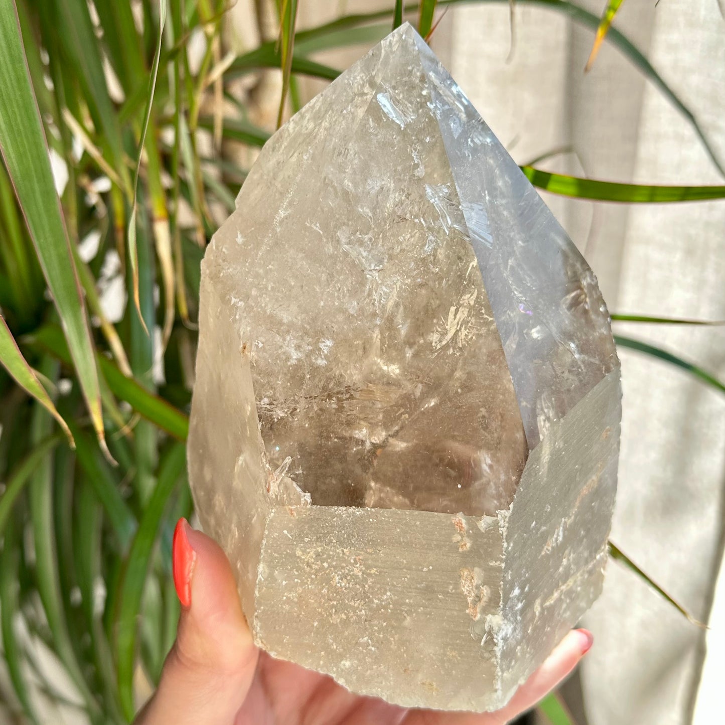 Rookkwarts natuurlijke punt 1484