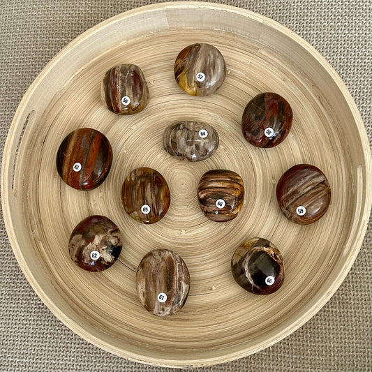Versteend hout handstenen